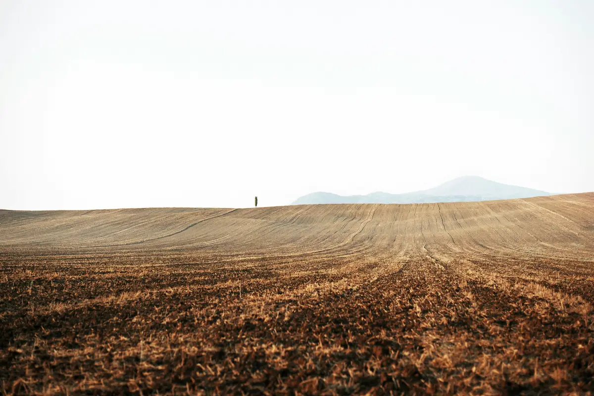 Alerty o logowaniu z nietypowych lokalizacji i urządzeń